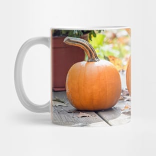 Chipmunk in her pumpkin home Mug